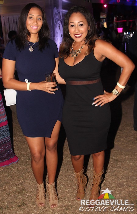 Vibes @ Shaggy & Friends 2016