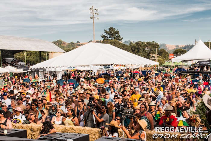 Impressions @ Sierra Nevada World Music Festival 2015