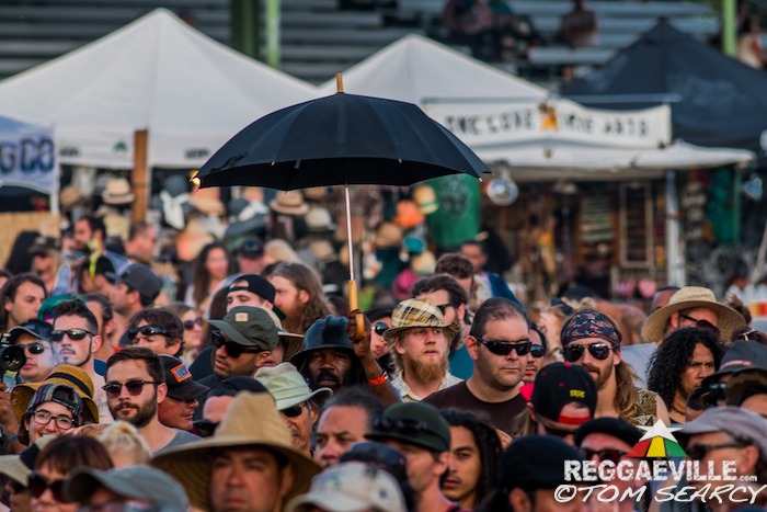 Impressions @ Sierra Nevada World Music Festival 2015