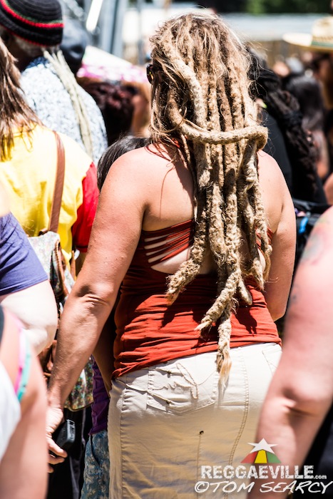 Impressions @ Sierra Nevada World Music Festival 2015