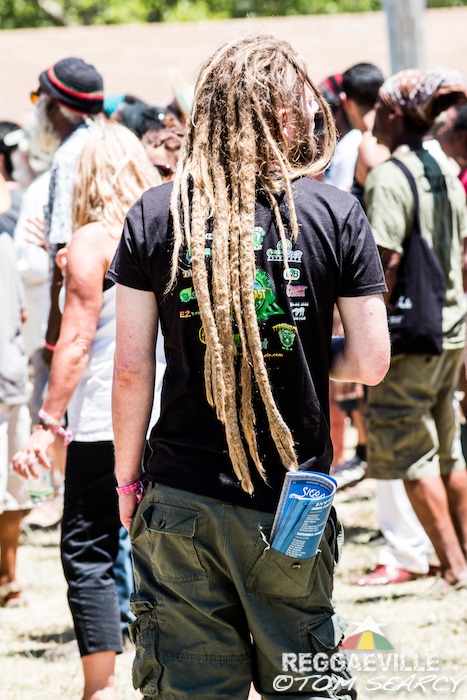 Impressions @ Sierra Nevada World Music Festival 2015