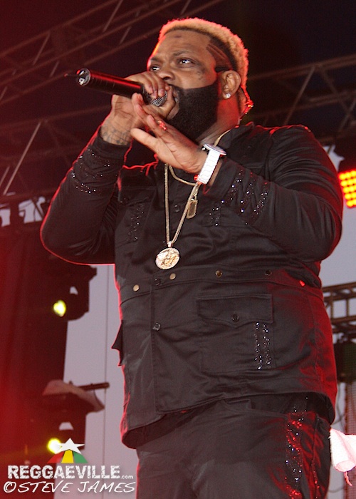 Various Artists @ Sting 2014