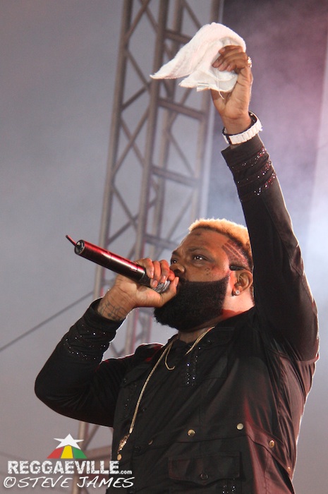 Various Artists @ Sting 2014