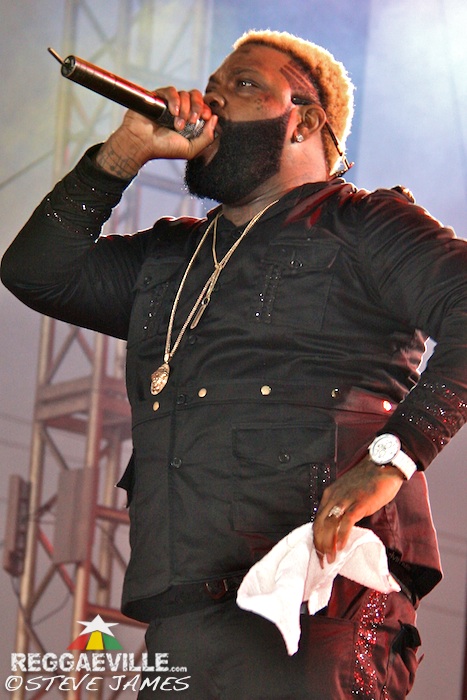 Various Artists @ Sting 2014