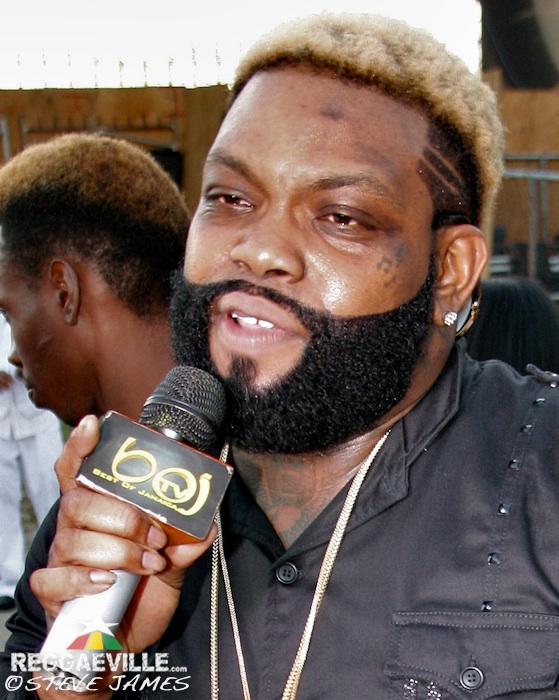 Various Artists @ Sting 2014