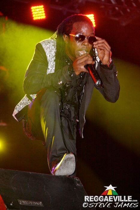 Various Artists @ Sting 2014