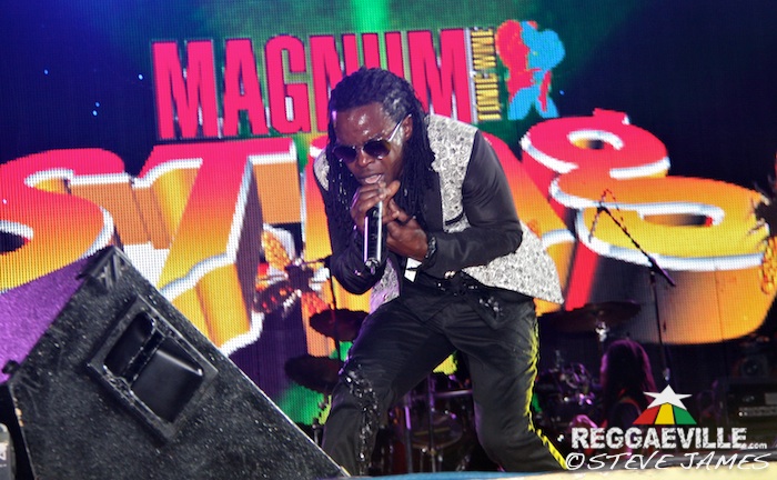 Various Artists @ Sting 2014