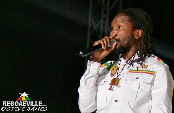 Various Artists @ Sting 2014