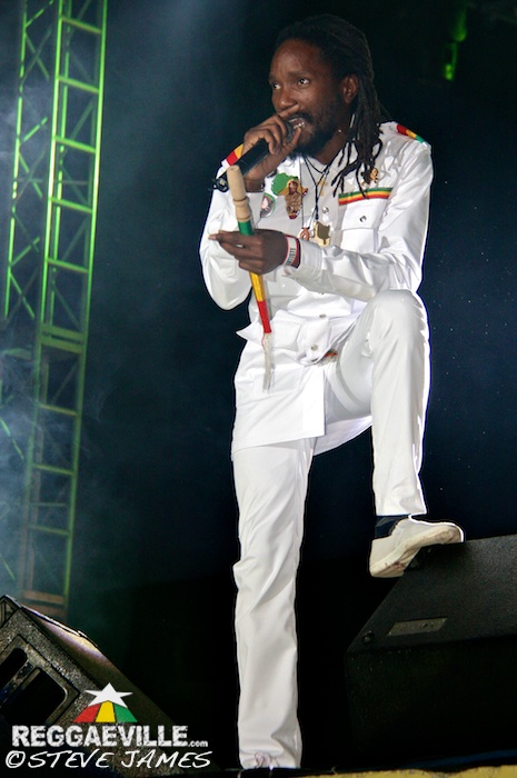 Various Artists @ Sting 2014