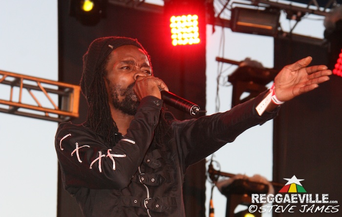 Various Artists @ Sting 2014