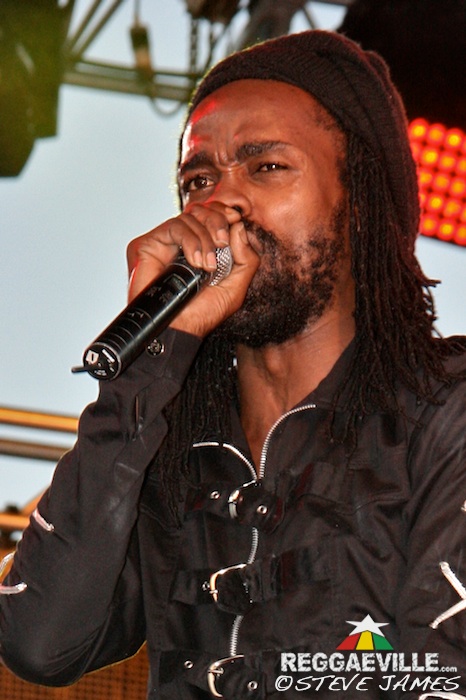 Various Artists @ Sting 2014