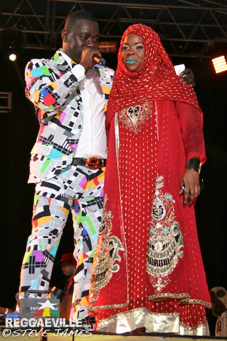 Various Artists @ Sting 2014