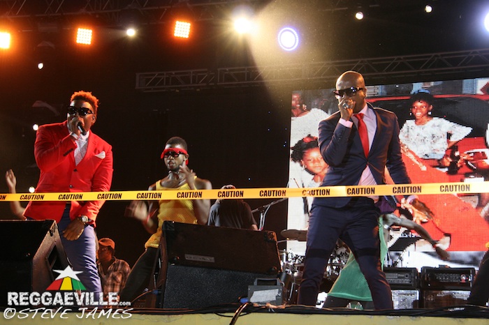 Various Artists @ Sting 2014