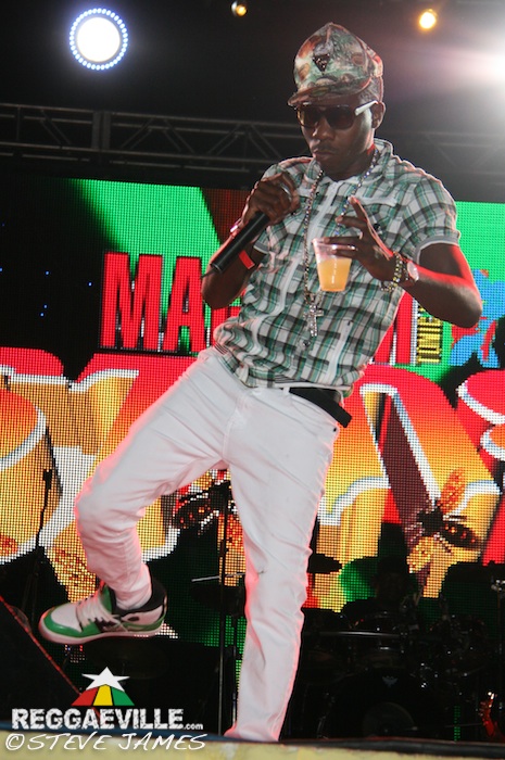 Various Artists @ Sting 2014