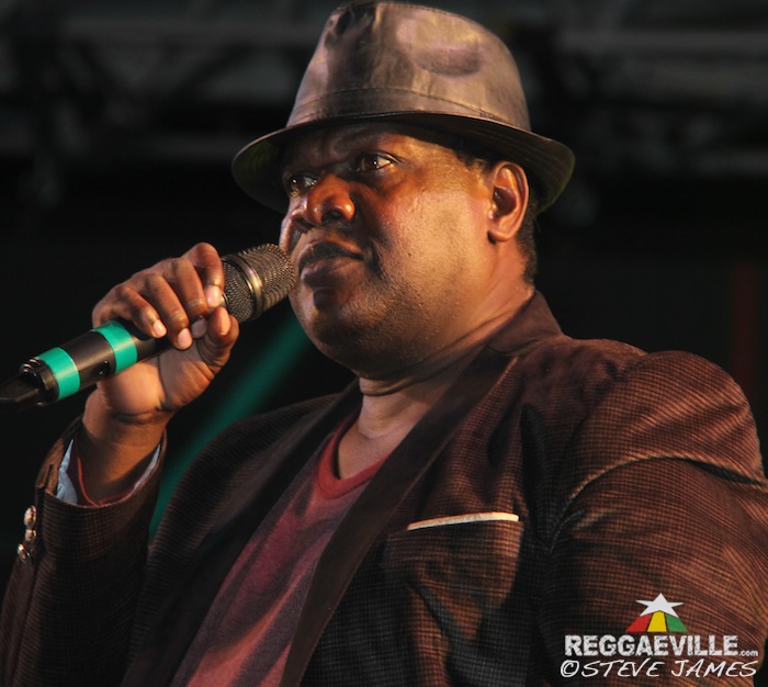 Half Pint & Various Artists @ Sting 2015