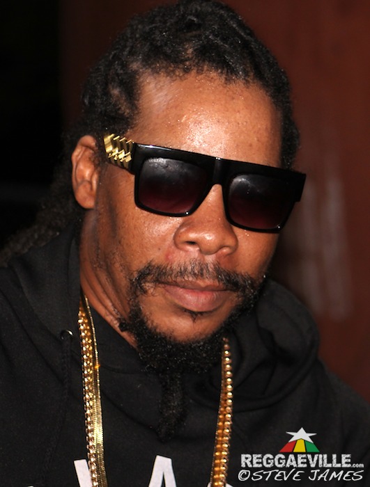 Starface, Stylysh, Burro Banton & Professor Nuts & Various Artists @ Sting 2015