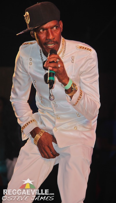 Starface, Stylysh, Burro Banton & Professor Nuts & Various Artists @ Sting 2015