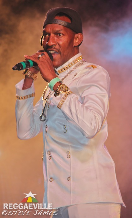 Starface, Stylysh, Burro Banton & Professor Nuts & Various Artists @ Sting 2015