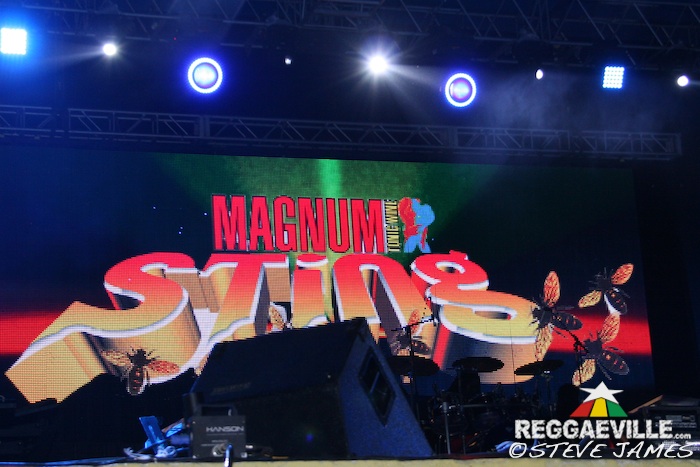 Impressions & Vibes @ Sting 2014