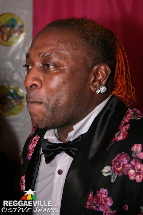 Impressions & Vibes @ Sting 2014