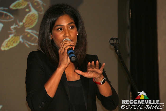 Sting 2013 - Launch in Kingston, Jamaica