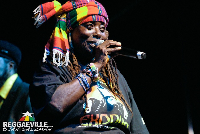 Vibes @ Tribute To The Legends 2015