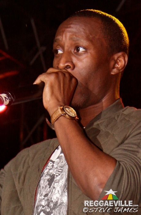 Bugle, Christopher Ellis, Teflon and more.. @ Rebel Salute 2014