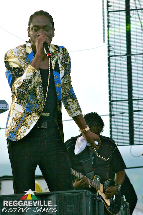 Bounty Killer, Horace Andy, Terry Linen & Louie Culture @ Rebel Salute 2014
