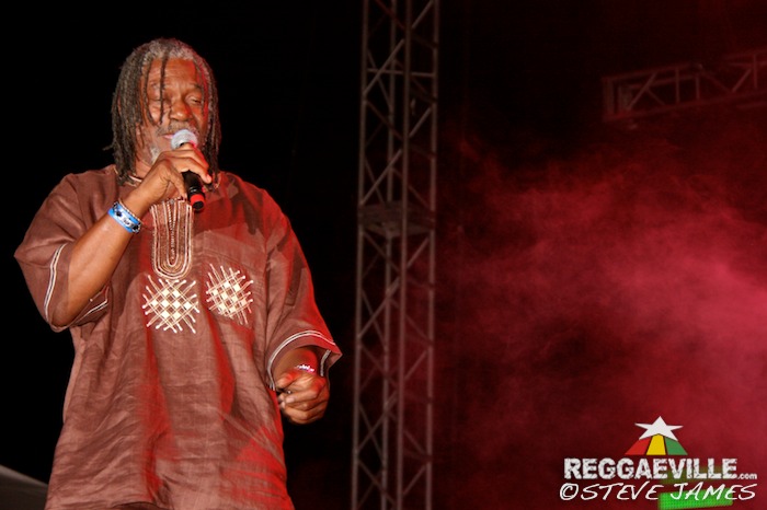 Bounty Killer, Horace Andy, Terry Linen & Louie Culture @ Rebel Salute 2014