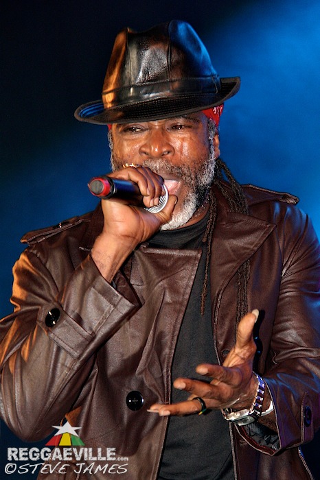 Various Artists @ Shaggy & Friends 2014