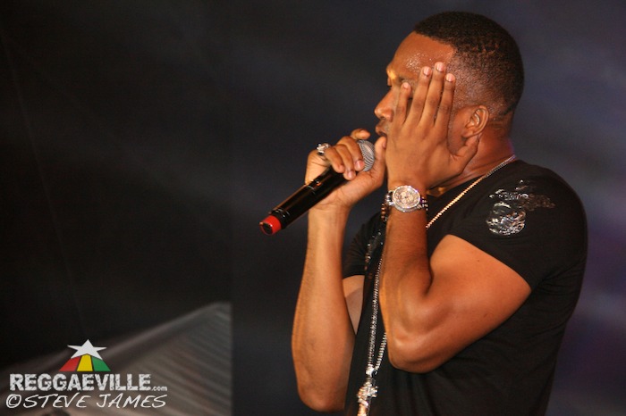 Various Artists @ Shaggy & Friends 2014