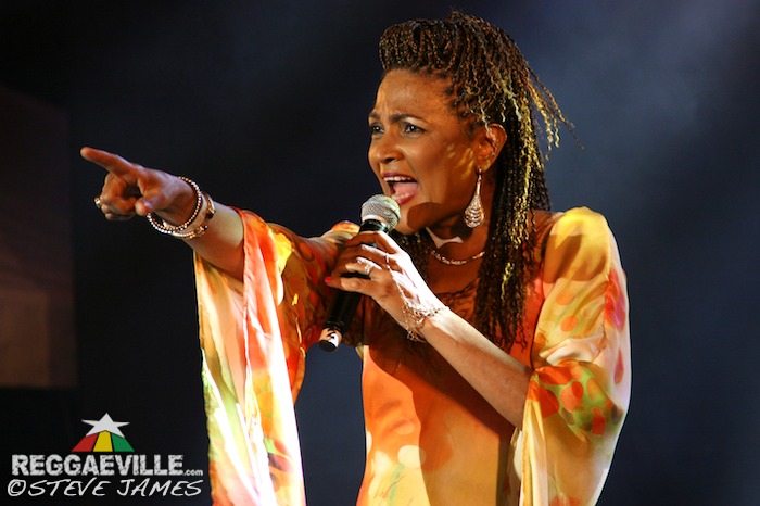 Various Artists @ Shaggy & Friends 2014