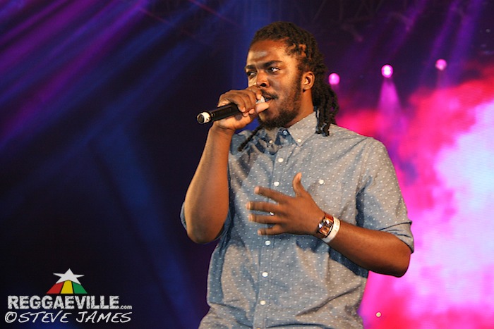 Various Artists @ Shaggy & Friends 2014