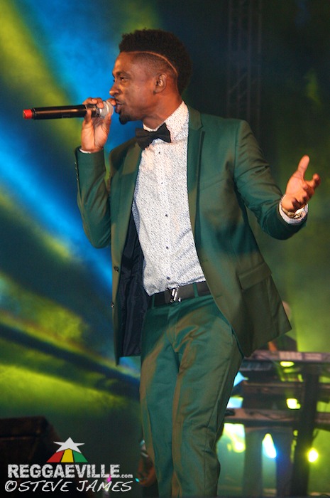 Various Artists @ Shaggy & Friends 2014