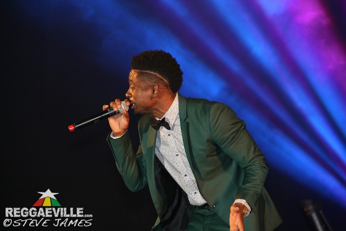 Various Artists @ Shaggy & Friends 2014