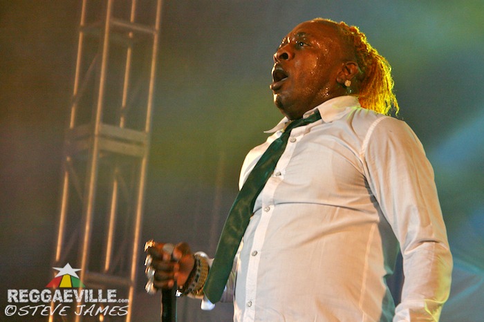 Various Artists @ Shaggy & Friends 2014