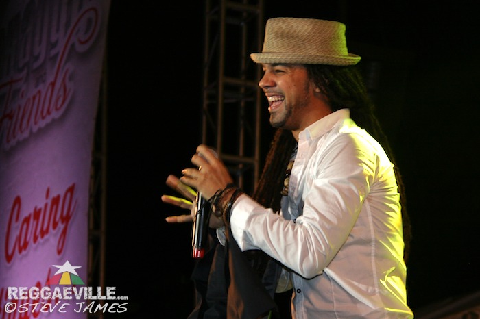 Various Artists @ Shaggy & Friends 2014