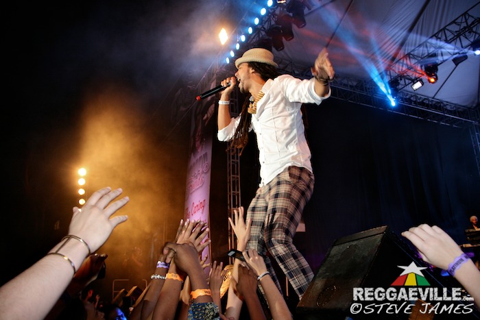 Various Artists @ Shaggy & Friends 2014