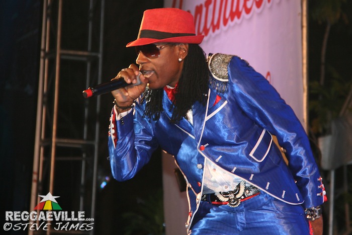 Various Artists @ Shaggy & Friends 2014