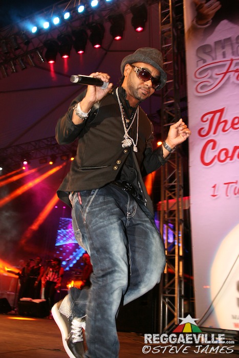 Various Artists @ Shaggy & Friends 2014