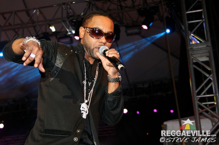 Various Artists @ Shaggy & Friends 2014