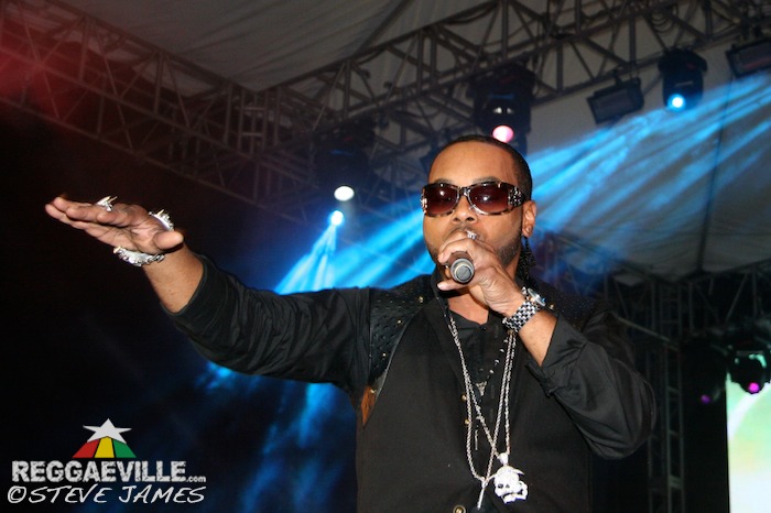 Various Artists @ Shaggy & Friends 2014
