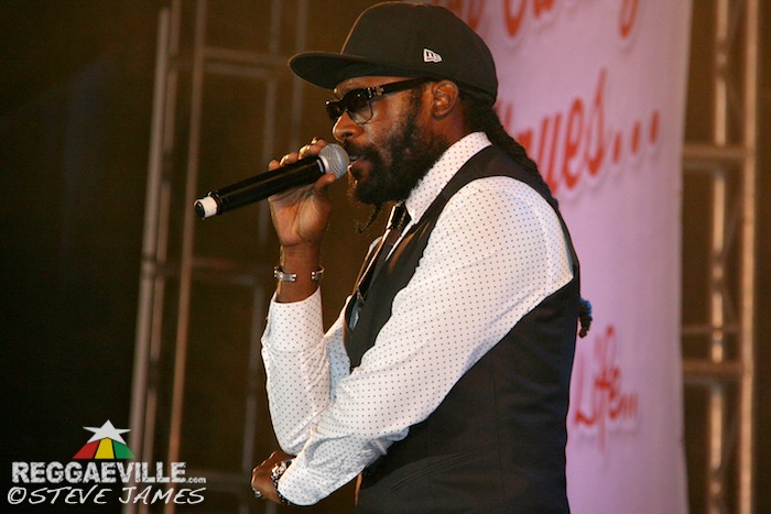 Various Artists @ Shaggy & Friends 2014