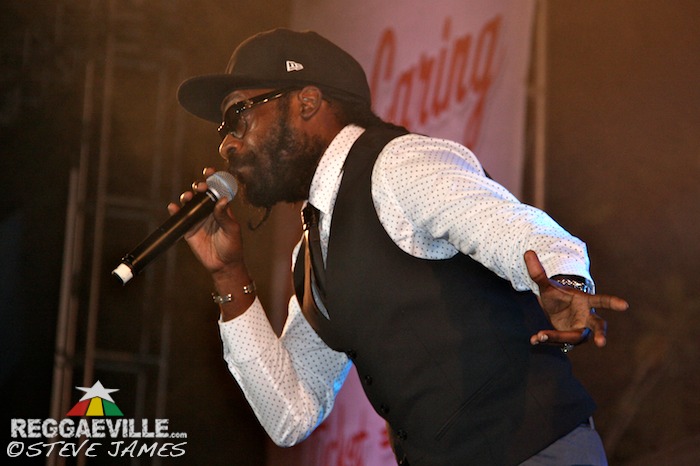Various Artists @ Shaggy & Friends 2014