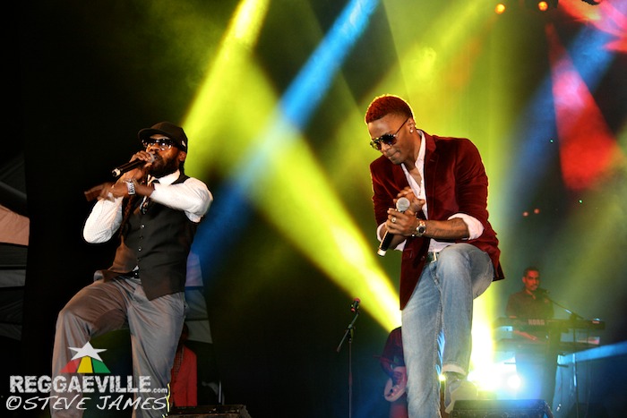 Various Artists @ Shaggy & Friends 2014
