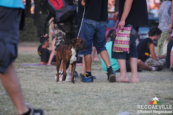 Impressions @ Venice Sunsplash 2011