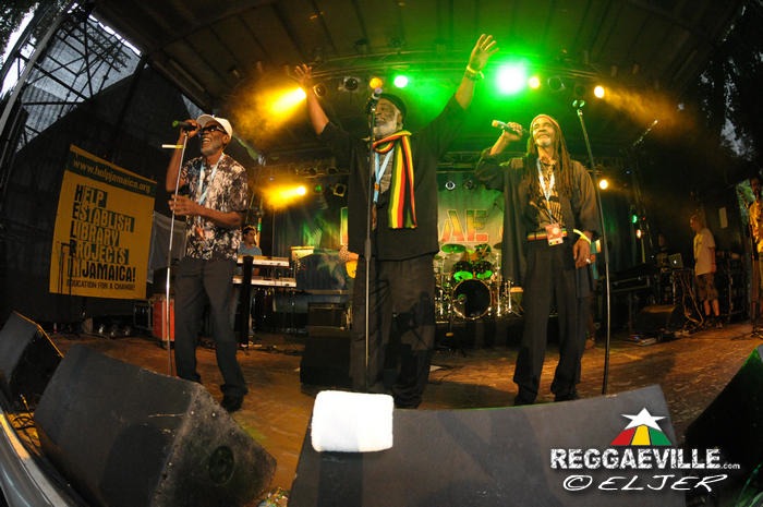 The Viceroys @ Reggae Jam 2014