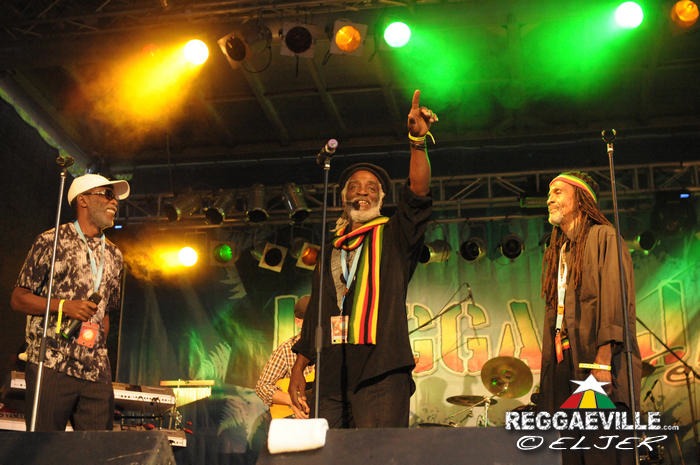 The Viceroys @ Reggae Jam 2014