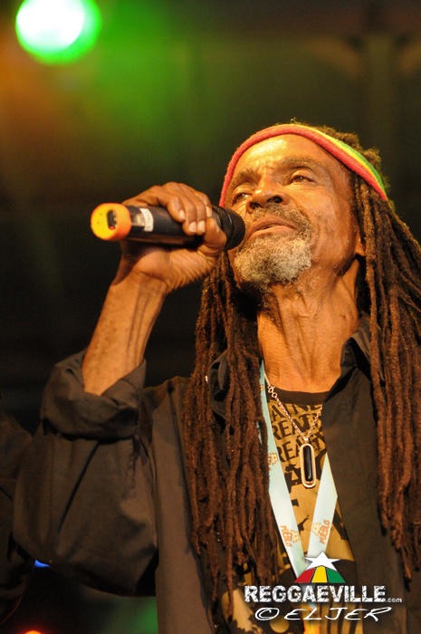 The Viceroys @ Reggae Jam 2014