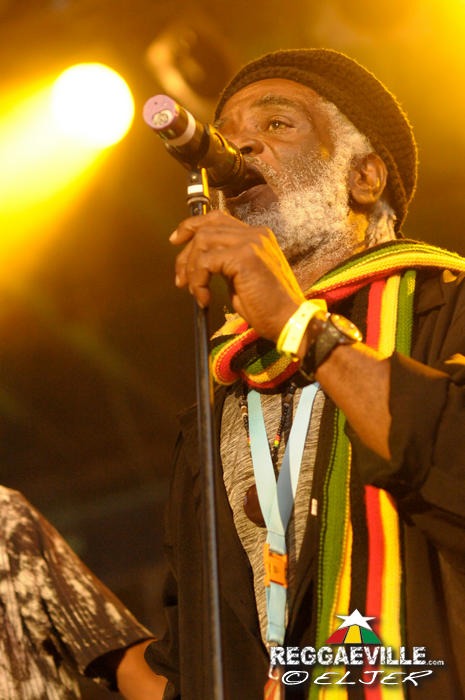 The Viceroys @ Reggae Jam 2014